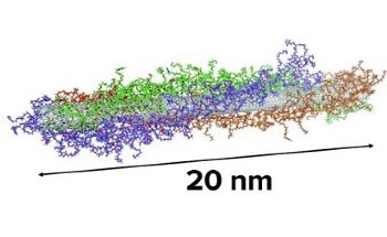 Novel Method Facilitates Delivery of Genes into Plant Mitochondria