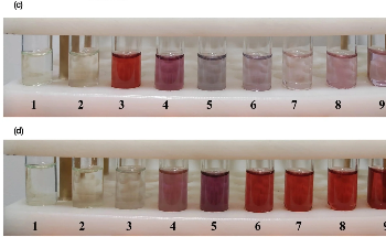 Influencing the Synthesis of Biomedical-Focused Gold Nanoparticles