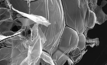 Researchers Cook up a New Way to Remove Microplastics from Water
