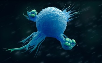 Porous Nanoparticles Could Deliver Hydrophobic Drugs to Macrophages