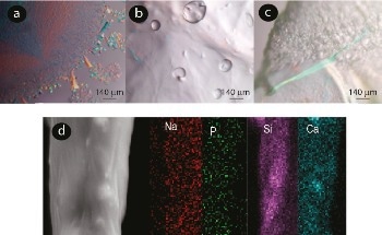 Nanoanalysis of Velvet Worm Slime