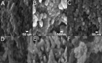 Nanohybrids Act as Effective Nitrogen Nano-Fertilizers for Wheat
