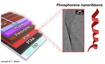 Tackling the Energy Crisis with Phosphorene Nanoribbons