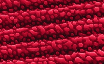 Graphene Tattoos can be Used to Measure Blood Pressure