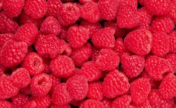 Raspberry-Shaped Nanoparticle for Precise Drug Delivery