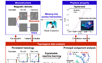 Revealing the Complex Magnetization Reversal Mechanism with Topological Data Analysis