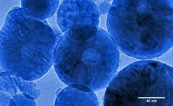 Biocytogen Launches RenNano™ Mouse, a Fully Human Heavy Chain Antibody Platform to Accelerate Nanobody Drug Discovery