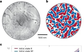 New Imaging Method Captures Quantum Material's Transient Phase