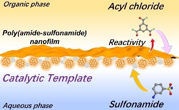 Highly Efficient Novel Nanofiltration Membrane for Treatment of Acidic Wastewater