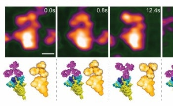 COVID-19 Vaccine Alternatives Assessed at the Nanoscale