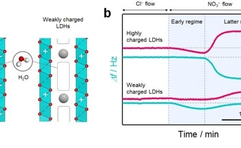 Water Molecules Can Influence Ion Storage in Layered Materials