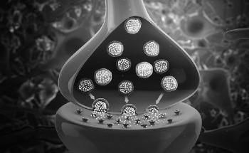 Long-Term Memory Discovered in 2D Nanofluidic Channels