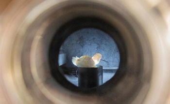 Exploring Thermal Limits of Advanced Nanomaterials