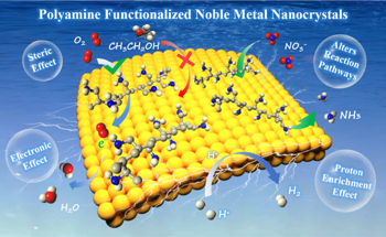 Noble Metal Electrocatalysts: Benefits of Chemical Functionalization