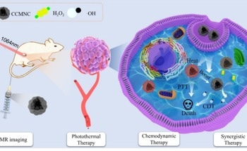 Magnetite Nanoclusters Covered in Carbon Could Boost Cancer Therapy
