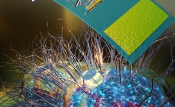 “Electronic Nose” Ushers in Biological Paradigm in Electrical Engineering
