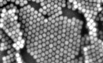 Solvents Used to Control the Structure of Nanoparticle Coatings