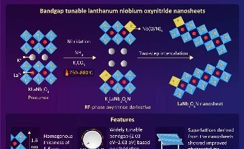 Using Perovskite Oxynitrides to Develop New 2D Nanosheets