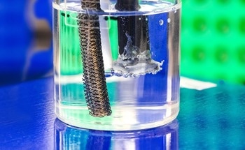 Producing Metal Nanoclusters Using Electroactive Bacterium