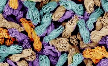 Controlling How Nanostructures Twist For the First Time