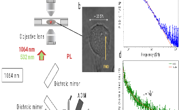 Optically Trapped Nanodiamonds to Measure Properties Inside Living Cells