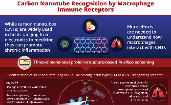 “Siglec-14” Receptors on Human Macrophages Detect Carbon Nanotubes and Provoke Inflammation, Finds Study
