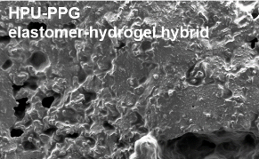 New Photocatalytic Hydrogel Nanocomposites for Performing Large-Scale Solar Hydrogen Production