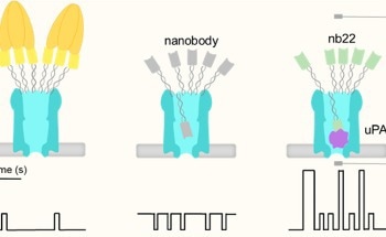 New Method for Accurately Diagnosing Disease Using a Simple Blood Test