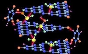 Developing Novel Nanocomposite Material with Simple Hydrothermal Process