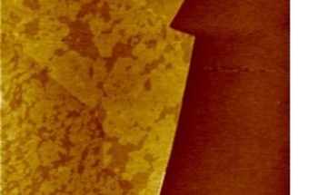 Analysis of Lipids Concentrating on Graphene Oxide