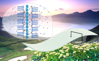 Nanomaterial Collects Natural Atmospheric Humidity and Produces Electrical Signals