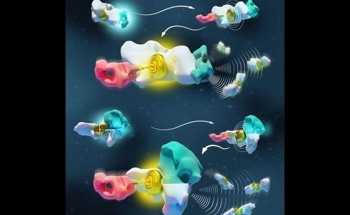 Recreating Molecular Languages for Nanotech Applications from Origins to Innovations