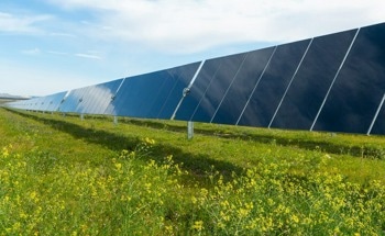 UbiQD Expands Collaboration with First Solar on Quantum Dot-Enhanced Solar Modules