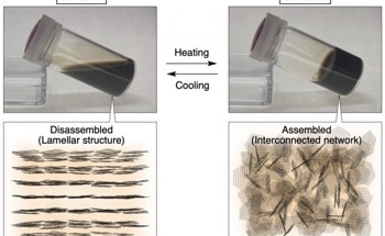 Breakthrough in Smart Material Design with Countercation Engineered GO Nanosheets