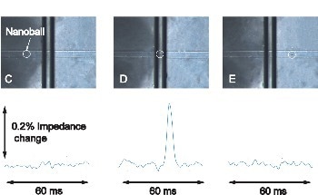New Method Combines DNA Nanoballs and Electronics to Enable Simple Pathogen Detection