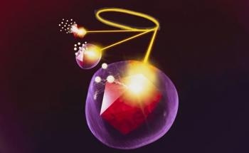 New Insights Into the Silica Coating Process for Nanodiamonds