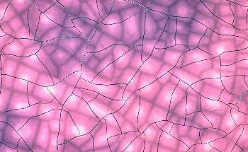 Color-Changing Coating Keeps Buildings Cool in Summer and Warm in Winter