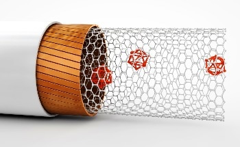 Fungal "Vacuum Cleaner" Could Help Keep the Surroundings Free From Nanoplastics
