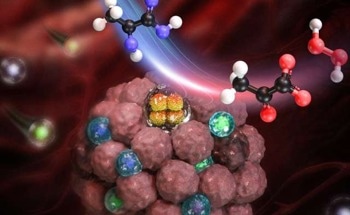 Nanocapsule Helps Boost the Activity of Mice Immune Cells