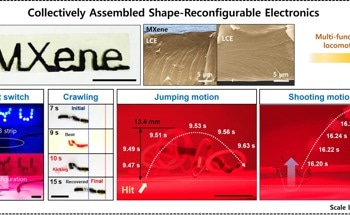 Multi-Functional Locomotion of Shape-Reconfigurable Electronics