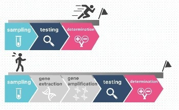 AI-Nanopore Platform Enables Precise COVID-19 Screening