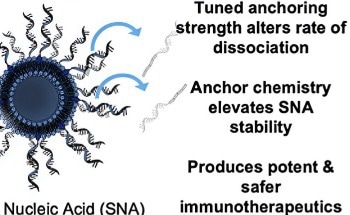 New Method to Enhance Immunostimulation