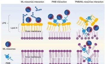 Lipid Nanoparticles: A Potent Weapon Against Antibiotic Resistance