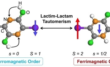 A Remarkable Chemical Process for 2D Metal-Organic Lattices