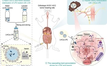 A Novel Strategy Developed for Better HCC Treatment