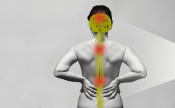 IBEC Leads Groundbreaking PHOTOTHERAPORT Project in Neuromodulation Therapies