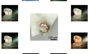 Optimizing Gold Nanoparticles in Tellurite Glass