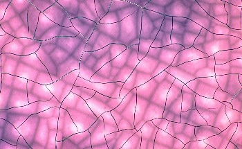 Seeing the Unseen: New Microscope Reveals the Invisible Dance of Light and Force
