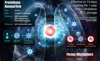 A Novel “Nano-Micro Composite” Approach to Vaccine Delivery