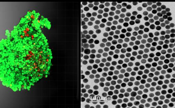 Using Nanotechnology to Study Tumor Physiology
